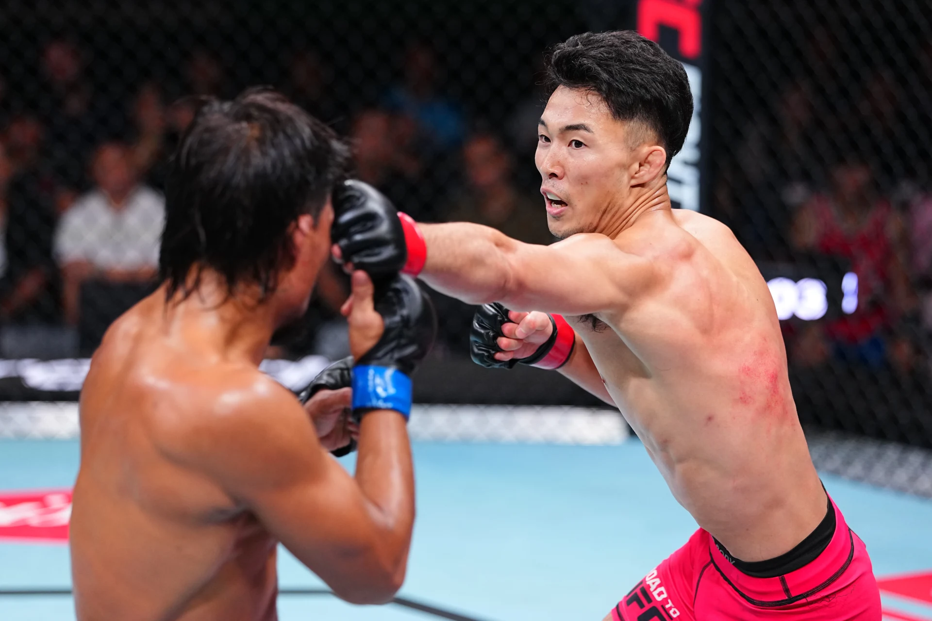 田嶋椋が判定3-0でコレン撃破 決勝進出、UFC契約へあと1勝【ROAD TO UFC 5準決勝】