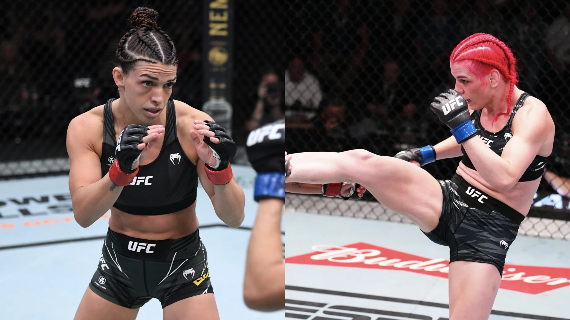 マッケンジー・ダーン vs ジリアン・ロバートソン 王者ダーンが初防衛へ、UFC女子最多一本勝ちの挑戦者と柔術対決
【UFC 330】