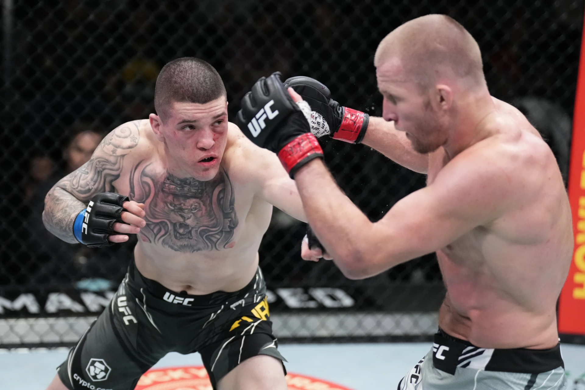 12連勝すべてフィニッシュのドゥラトフがUFC10戦目のトゥルマンと対戦【UFCファイトナイト・アブダビ】