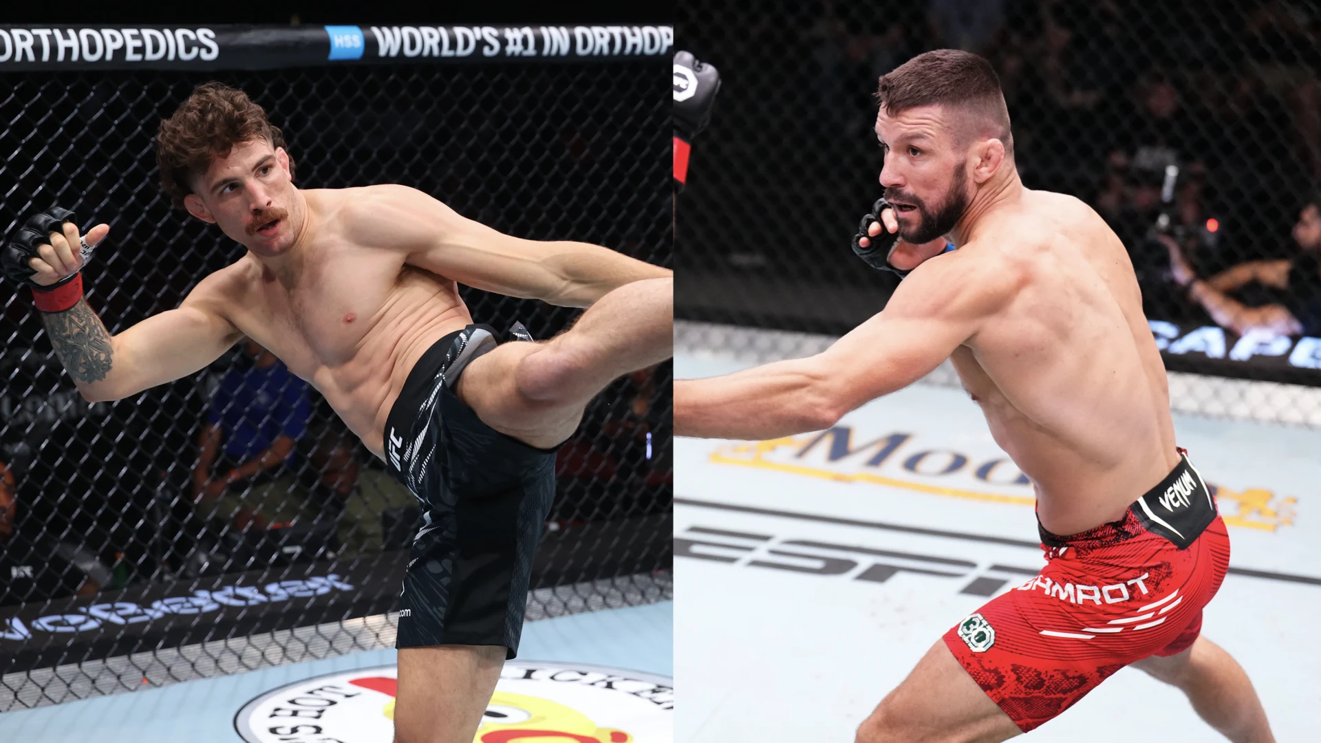 マテウス・ガムロット vs クイラン・サルキルド UFC5連勝中の新鋭がランキング6位に挑む
【UFCラスベガス120】