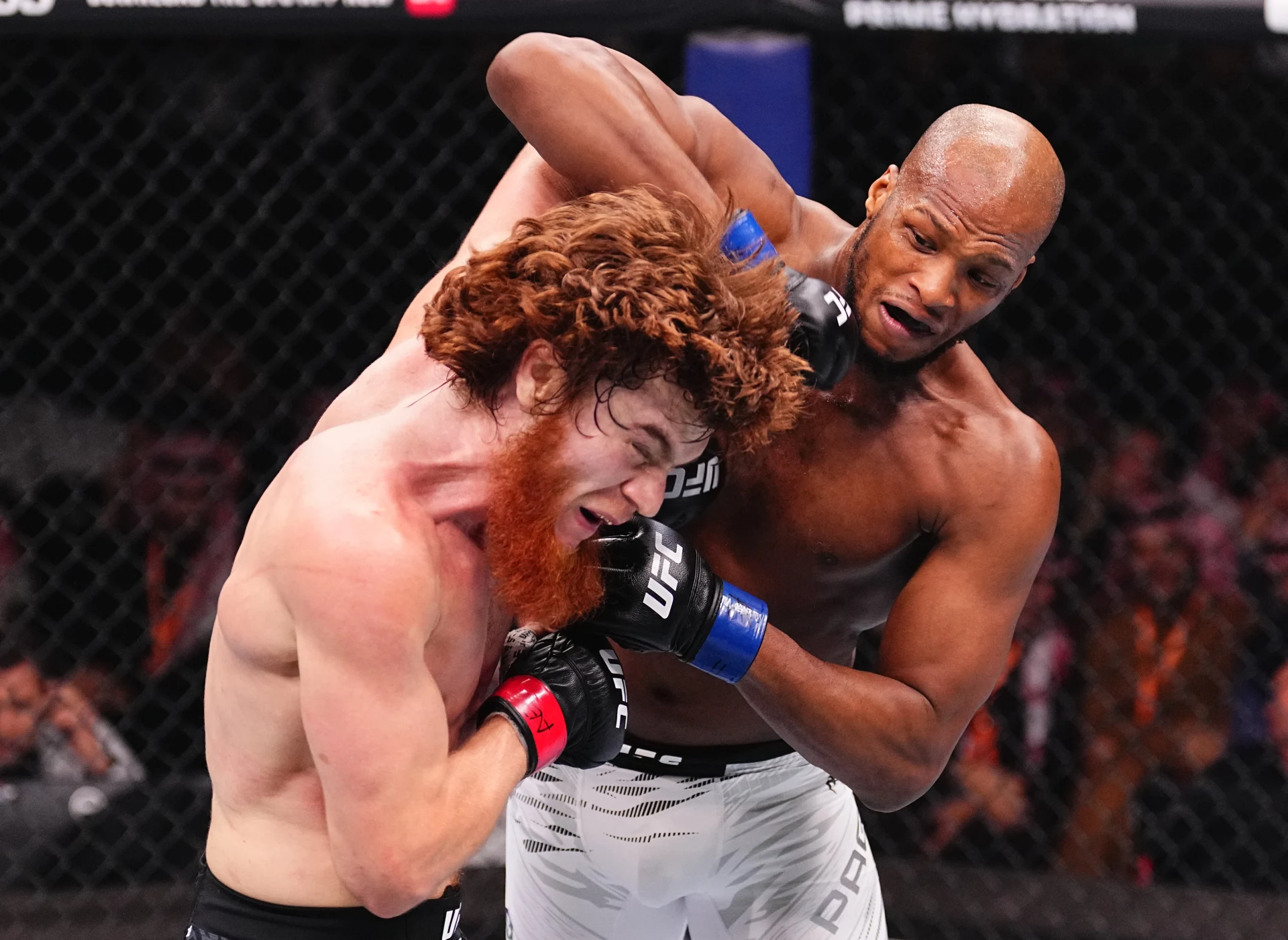 MVPが再びミドル級へ ルジボエフのUFC同階級無敗記録に挑む
【UFCファイトナイト・パリ】